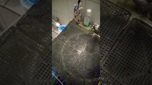 Дезинфекция инкубатора