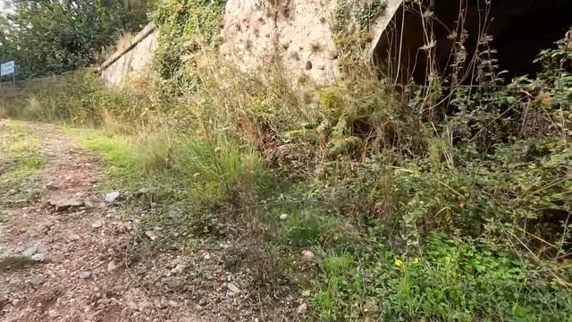 Настенку развели. ДИМЧАЙ вот это турки придумали. СНОВА ЗУБЫ И КЛИНИКА. Наши дети ПЛАТЯТ ЗА НАС. смотреть онлайн