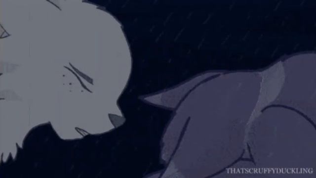 коты воители. Клип Бич :заказ : новый кадиллак ! смотреть онлайн