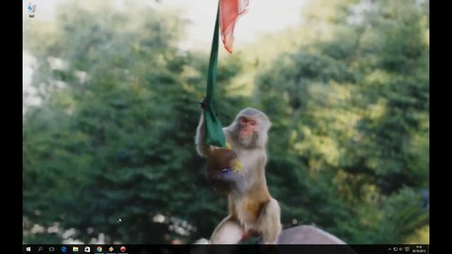 DeskSpace 8 new beautiful wallpaper 4K Animal смотреть онлайн