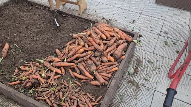 Закрываем огород. смотреть онлайн