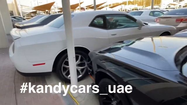 Dodge Challenger for sale смотреть онлайн