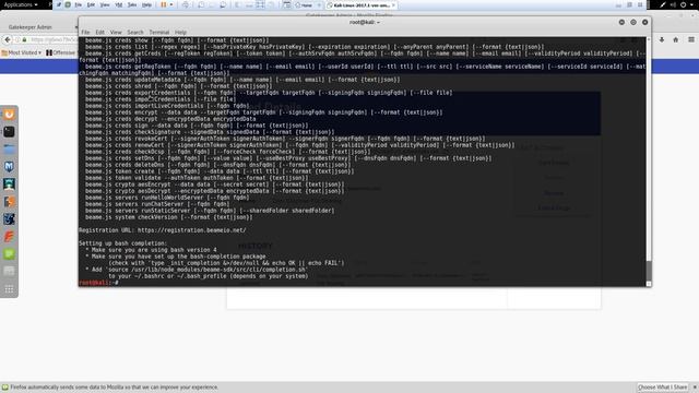Using beame-sdk and beame-gatekeeper as end2end encrypted file sharing смотреть онлайн