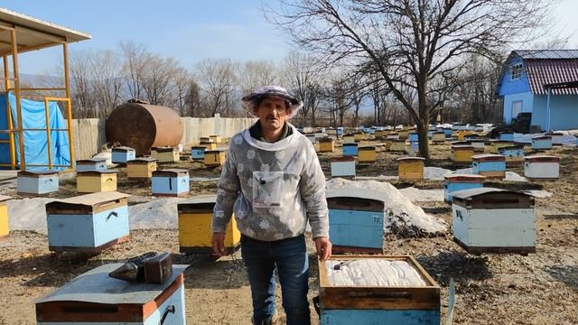 500+ Как расширяем и кормим семьи. смотреть онлайн