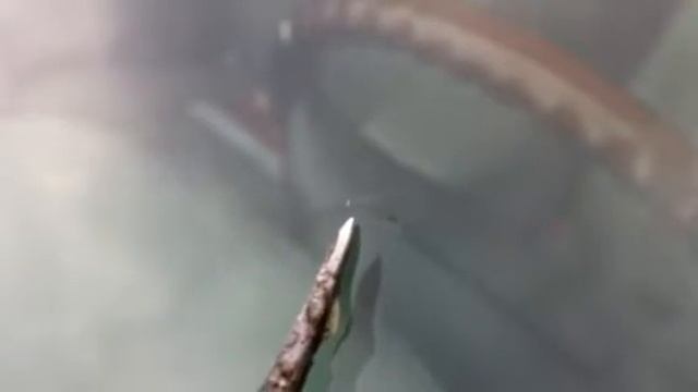 clamshell repair video, after смотреть онлайн