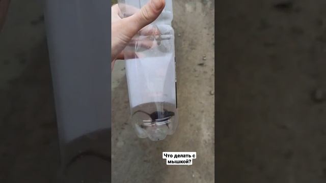 Что делать с мышкой? смотреть онлайн