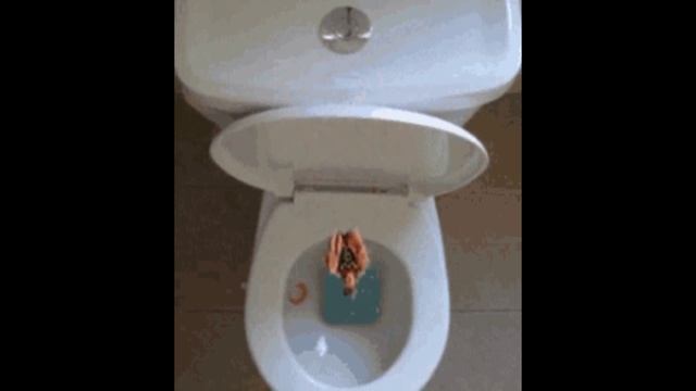 CMACDALOC & BRICC BABY CONFIRM AZRUCTION COMMENTS AFTER LURCHUMS THE GATEKEEPER FAILED PULL UP 🔛 YT смотреть онлайн