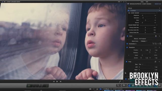 Coney Grades™ for Final Cut Pro X from Brooklyn Effects™ смотреть онлайн