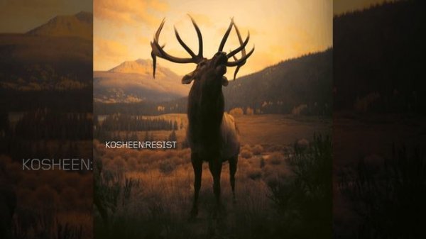 Kosheen - Catch (Acapella)