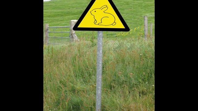 Girl Power - Ma Carrotz(Rabbit Mac) 2009 смотреть онлайн