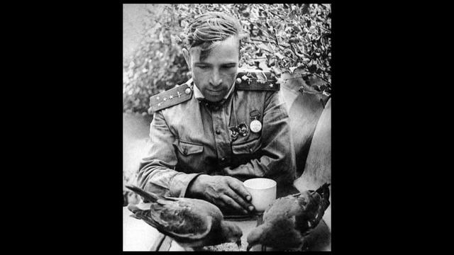 Мотор-Роллер - Нас не нужно жалеть смотреть онлайн