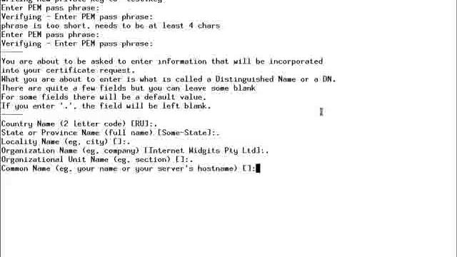 OpenSSL смотреть онлайн
