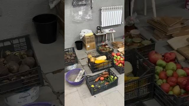 Организовать урожай легко и просто! смотреть онлайн