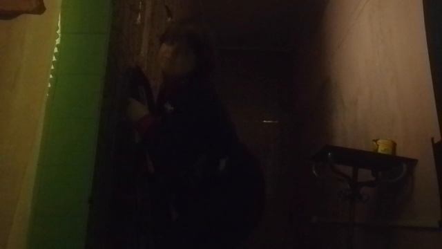 лезет rutube смотреть онлайн