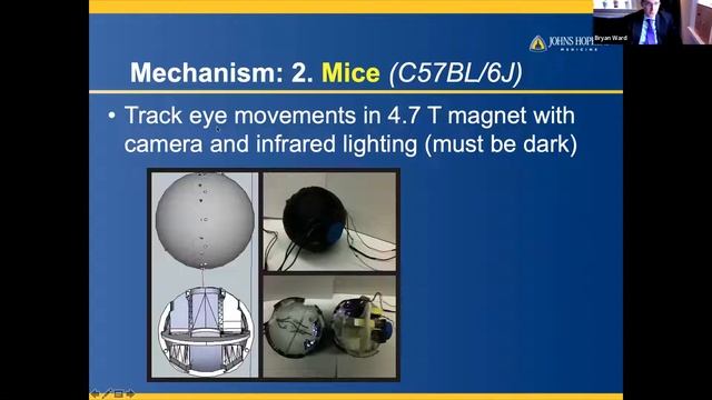 FES Center NP Webinar, Februaru 17, 2022 | Bryan Ward, PhD смотреть онлайн