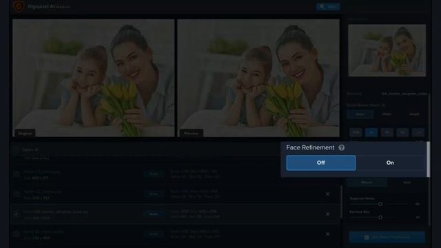 Topaz Gigapixel AI 6 смотреть онлайн
