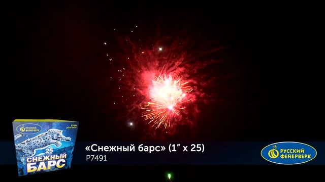 Снежный Барс Р7491 смотреть онлайн