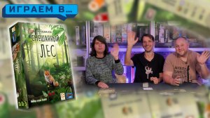 Играем в СМЕШАННЫЙ ЛЕС
