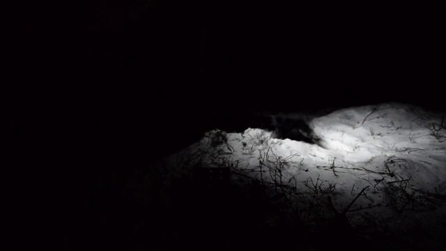 Solo Winter Camping смотреть онлайн