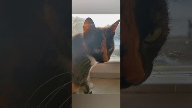 Родные смотреть онлайн