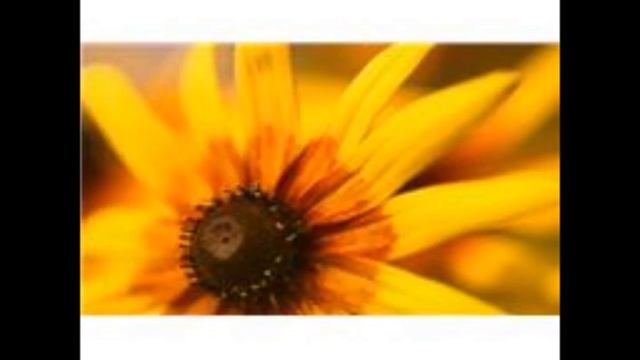 If You Could See Where I Am.wmv смотреть онлайн