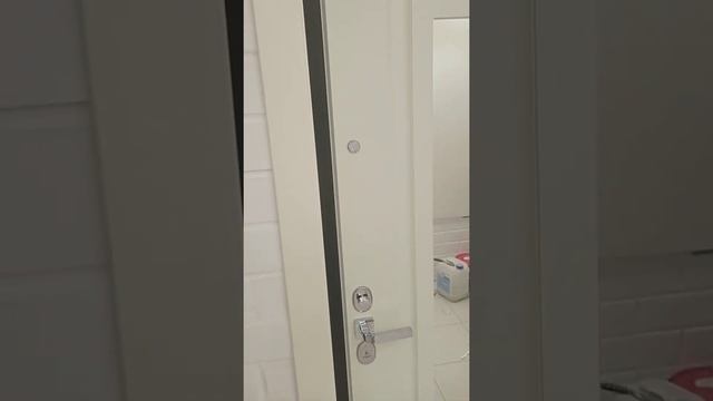 Входная дверь в квартиру ЦАРСКОЕ ЗЕРКАЛО белый ясень смотреть онлайн