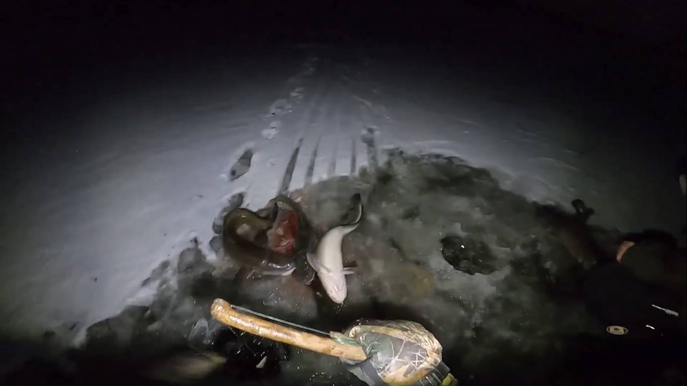 Рыбалка на Севере. Первый лёд. Открытие зимней рыбалки сезона 2022-2023. Налим по первому льду. смотреть онлайн