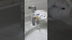 ASMR cleaning/АСМР уборка⭐️