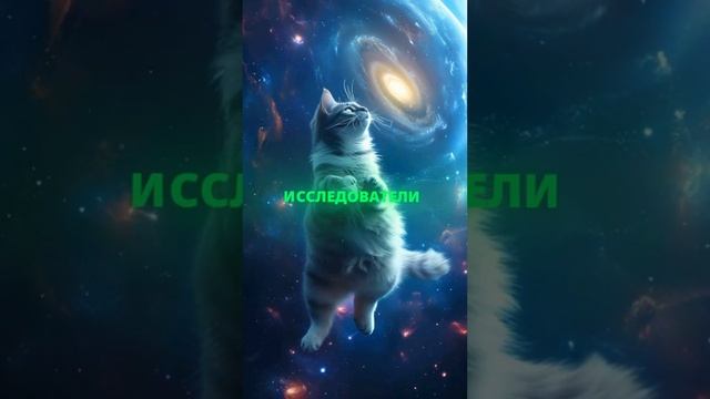 Кошки знака зодиака Стрелец. #гороскоп #психология смотреть онлайн