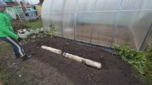 6 соток 16 октября 2024 года. Хроника.