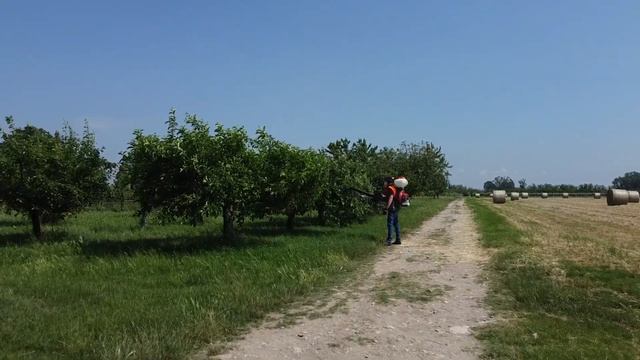 Atomizzatore AM 163 смотреть онлайн