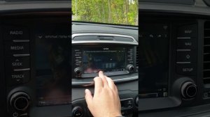 Кастомная  прошивка ШГУ KIA Sorento Prime UM 2017 - 2019 года. Яндекс, Youtube, телевидение.