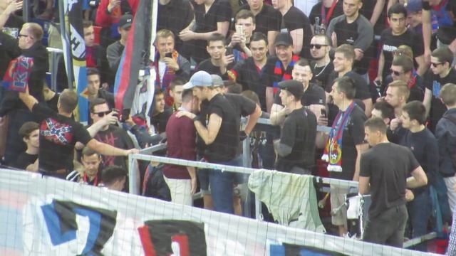 Тошич смотреть онлайн