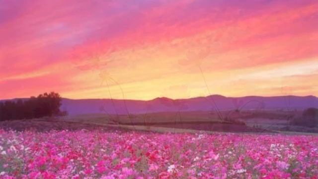 りえぴあの　RIE PIANO cover 山口　百恵　MOMOE YAMAGUCHI 秋桜　KOSUMOSU смотреть онлайн