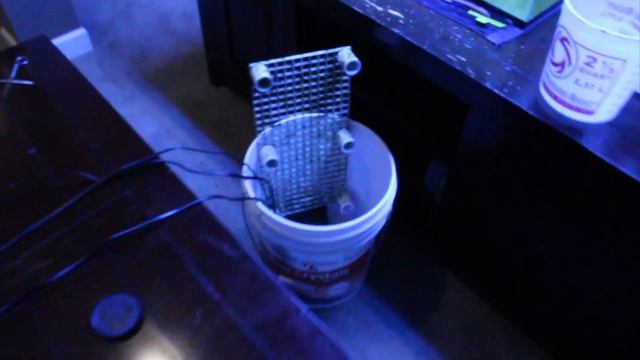 Red Sea Reefer 250 Update - NEW FISH смотреть онлайн