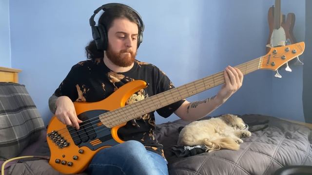 Mac Miller ft. Thundercat - What's the Use - Bass Cover смотреть онлайн