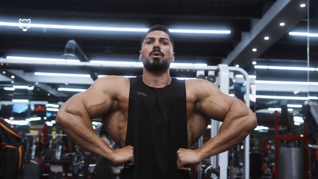 BAD WOLF 🐺 - Andrei Deiu смотреть онлайн