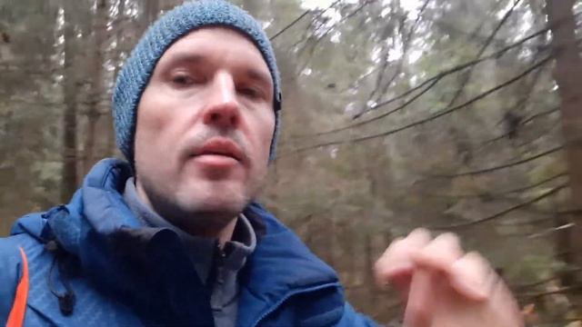 Надо ли чистить лес? Опасны ли ветровалы для леса? Как возобновляется ельник? смотреть онлайн