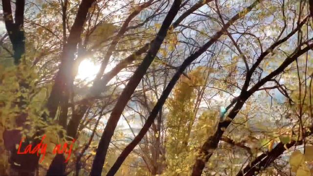 lles de Boucherville Parc Montreal Canada || the last fall Autumn смотреть онлайн