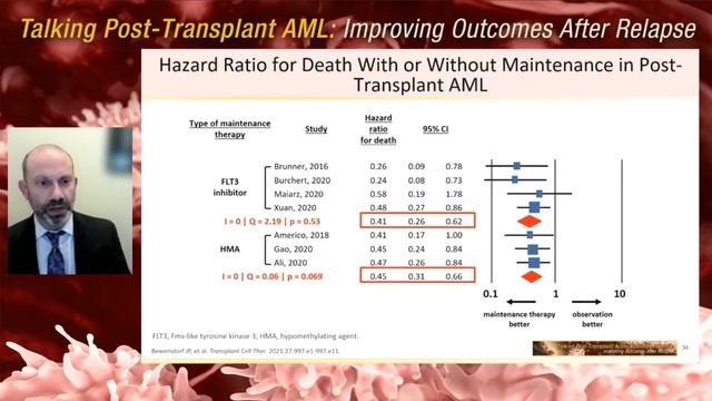 Talking Post-Transplant Acute Myeloid Leukemia - Improving Outcomes after Relapse смотреть онлайн