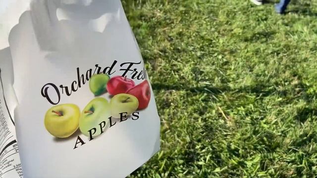 Apple Farm in USA | Apple picking | NRI mom Vlog Hindi Urdu смотреть онлайн