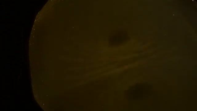 VIDEO 24 Uncovering the Missing Secrets of Magnetism. Voidance & Counter-Voidance смотреть онлайн