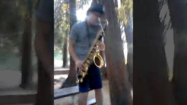David Hess's son playing saxaphone in the woods смотреть онлайн