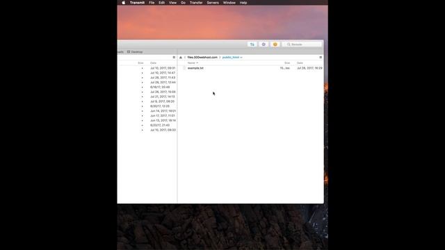 [DIY] How to transfer files to a server via FTP using Cyberduck, Transmit, & Filezilla смотреть онлайн