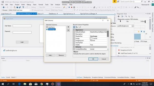 DataGridView in windows form application c#