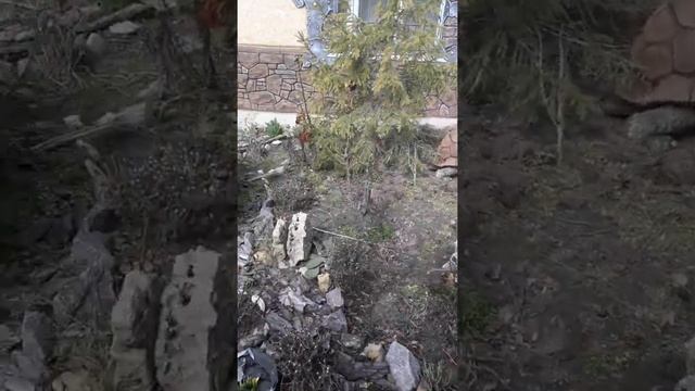 Как оформить клумбу? Есть идеи. смотреть онлайн