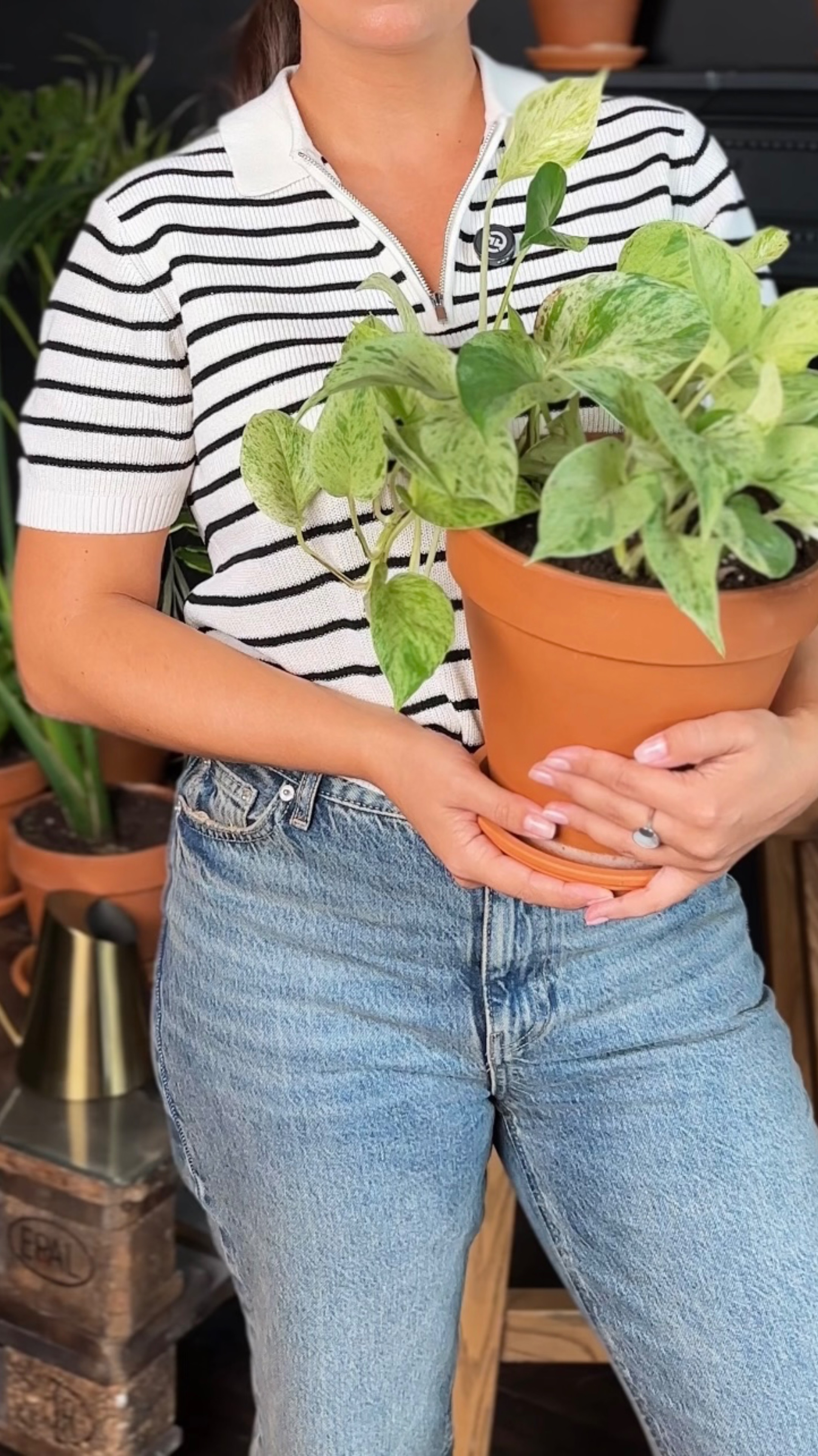 В смысле ты цветы выращивать не хочешь?