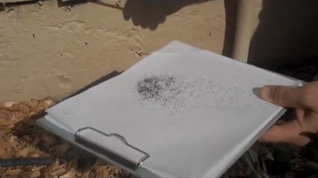 Will Mc Coy Pest Inspector San Jose, California смотреть онлайн