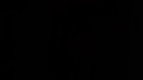 Alix Lynx & Cherie DeVille, SLIVAN #357 plus PUBA Set-Riffical Force