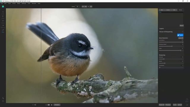 ON1 NoNoiseAI Quick Tour - The best Noise Reduction software? смотреть онлайн